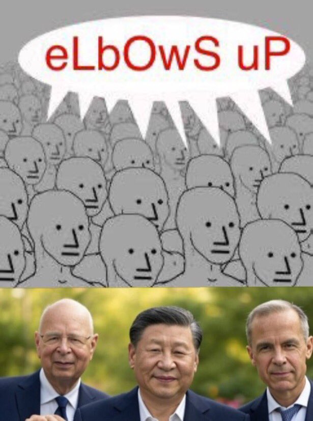 How many candidates do you figure China will be aiding, in this springs election?
There was no consequences for last time, so why wouldn’t they do it again?