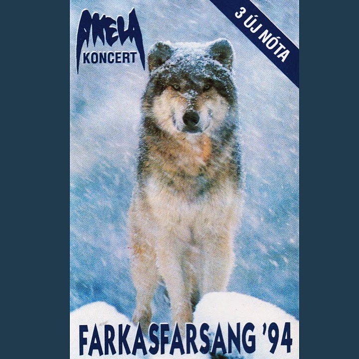 Hidden Loré 🩵🪽 tweet media