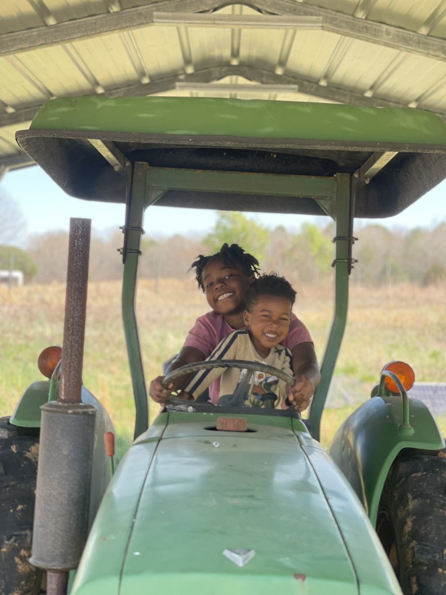 Just sharing a little joy from our farm today ✨