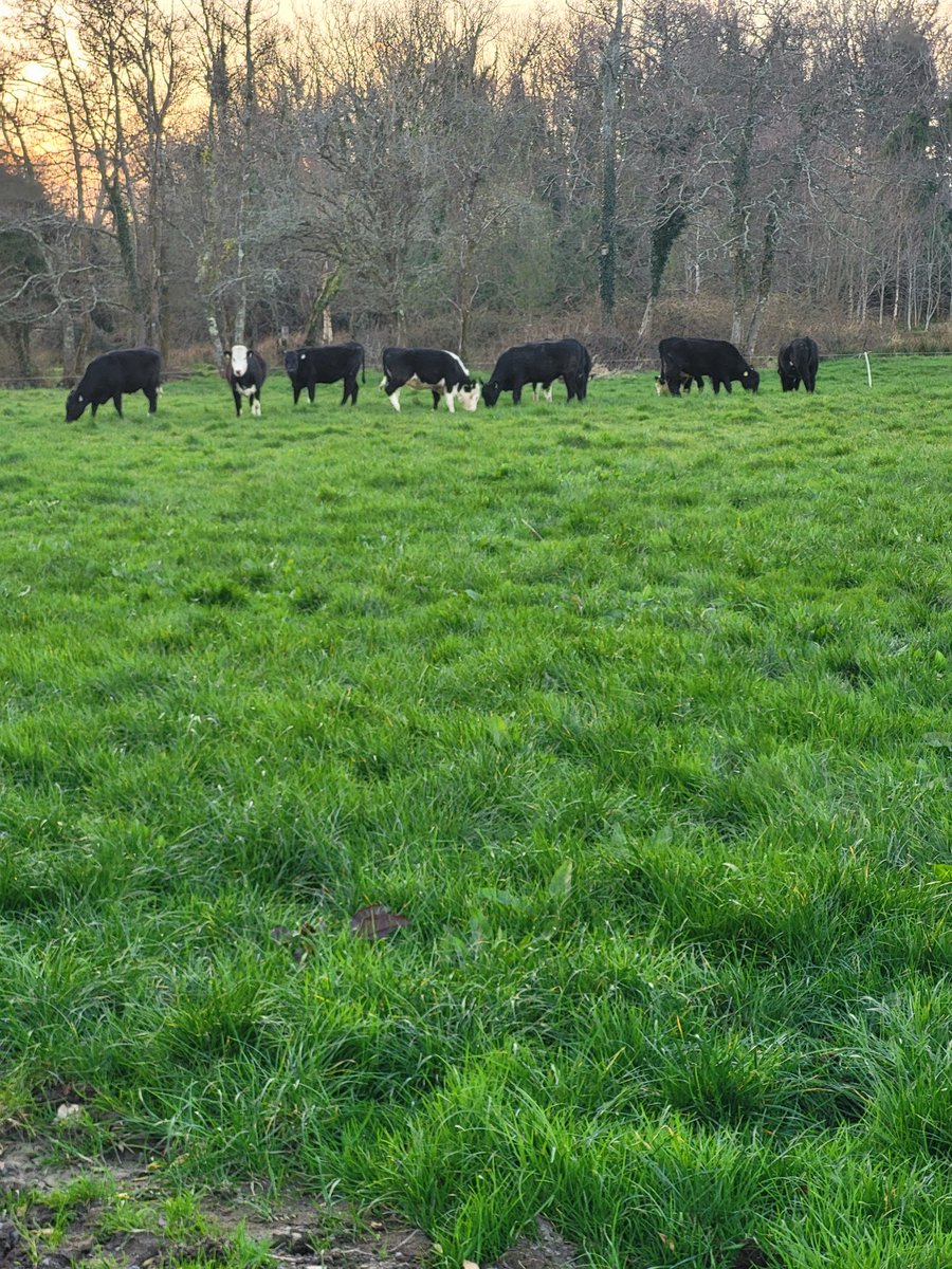 Some difference in ground conditions compared to spring 24