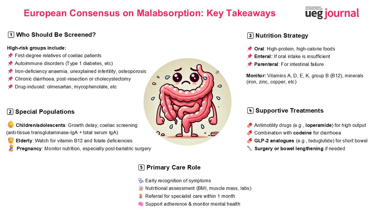 🍴 New European Consensus on Malabsorption!

Who to screen, how to nourish and the role of primary care — all in one glance 👀

📊 Check out the infographic below!💡

📖 #OpenAccess 👉 tinyurl.com/2js2u7mw
<a href="/my_ueg/">my_UEG</a> 

#Malabsorption #Nutrition #PrimaryCare #UEG