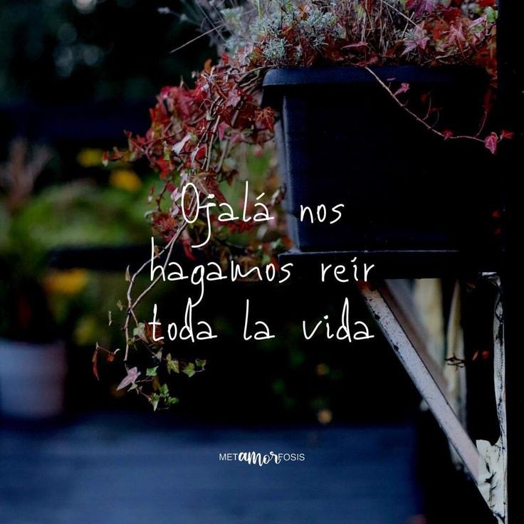 Aprendí a disfrutar el efímero instante de tus letras y así, entre tus pensamientos se me alarga la vida respirando otro poco cuando piensas en mí.