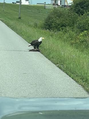 Stop The Track tweet media