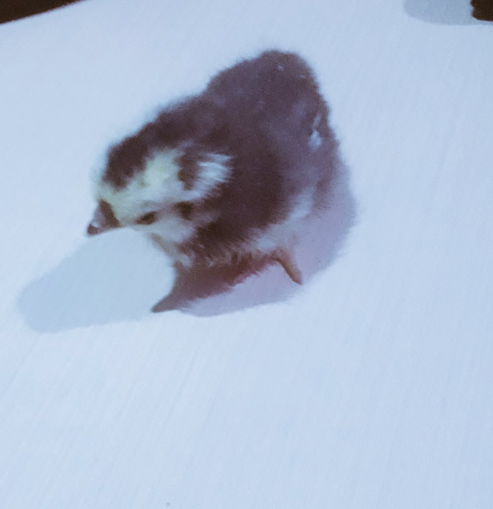 Ágata (@agata_2102) on Twitter photo 