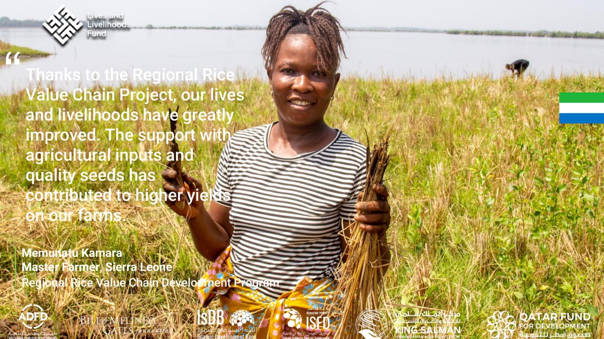 Regional Rice Value Chain Project (RRVCP)- MAFS-SL (@rrvcp_mafs_sl) on Twitter photo The RRVCP is making a real impact in Sierra Leone! With support in agricultural inputs and quality seeds, farmers are seeing higher yields and improved livelihoods. This positive transformation is empowering communities and driving sustainable growth. <a href="/isdb_group/">IsDB Group</a> #FeedSalone The RRVCP is making a real impact in Sierra Leone! With support in agricultural inputs and quality seeds, farmers are seeing higher yields and improved livelihoods. This positive transformation is empowering communities and driving sustainable growth. <a href="/isdb_group/">IsDB Group</a> #FeedSalone
