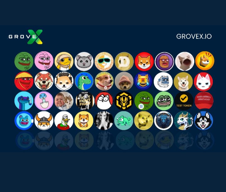 Phoenix_Amber1's tweet image. #NIERO is primed for the next big rebound! @NeiroOnEthereum 🐶

#NeiroETH #GroveX #Crypto #memecoin #NeiroWorldOrder