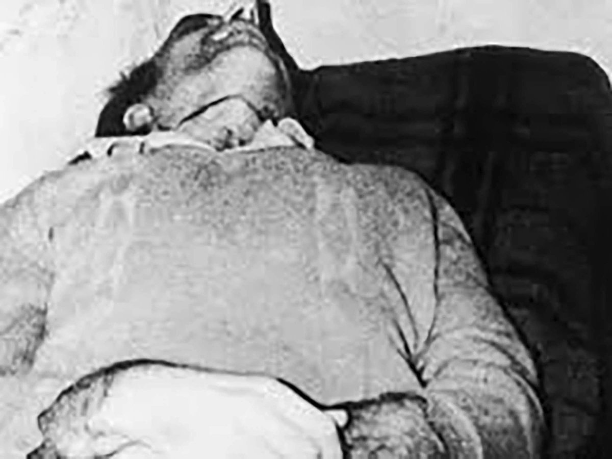 Silvia Ibarzábal tweet media