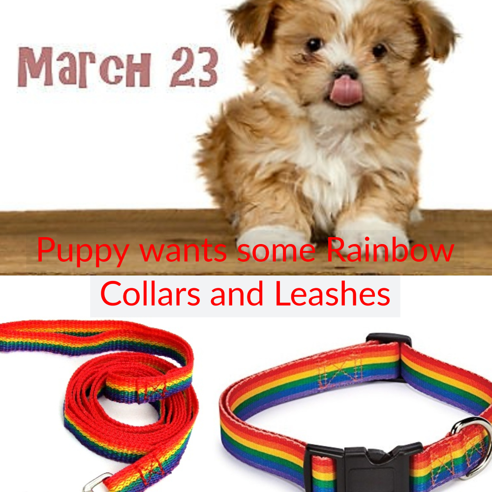 MooLuxe's tweet photo. National Puppy Day - Rainbow Collars and Leashes 
https://t.co/0Ao16pC2FD #MooLuxe #NationalPuppyDay
#love #like #instagood #follow #happy  #beautiful  #cute #life #art  #music #style #nature #followme #smile #beauty #travel #likes #friends #fun https://t.co/iZIlnHtdWX