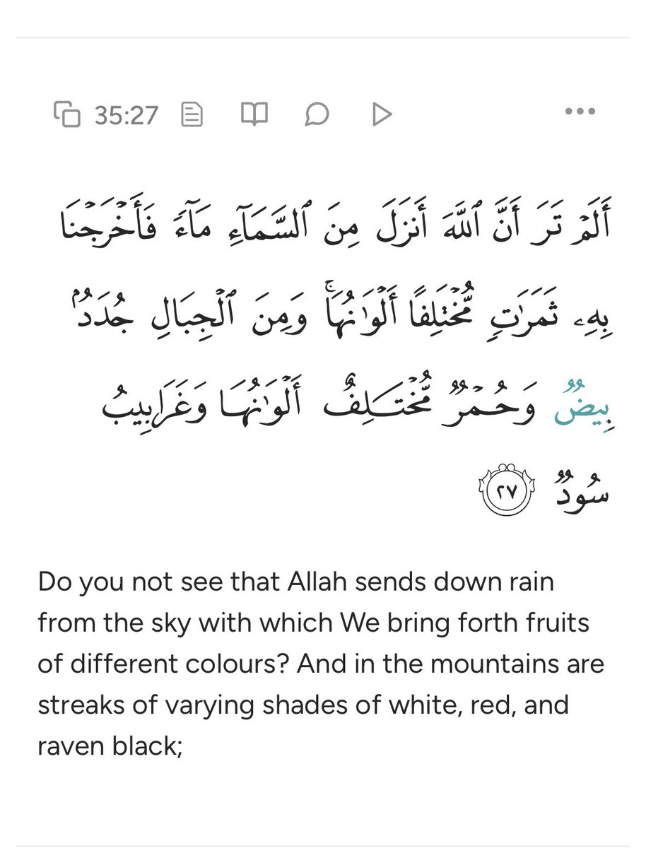 WXt0r's tweet photo. @lilyjayofficial Wind pollination was mentioned in the Quran before it was discovered.

There are also mountains of different colors that were discovered in the twentieth century.

.. https://t.co/qO9G0aa8Qm