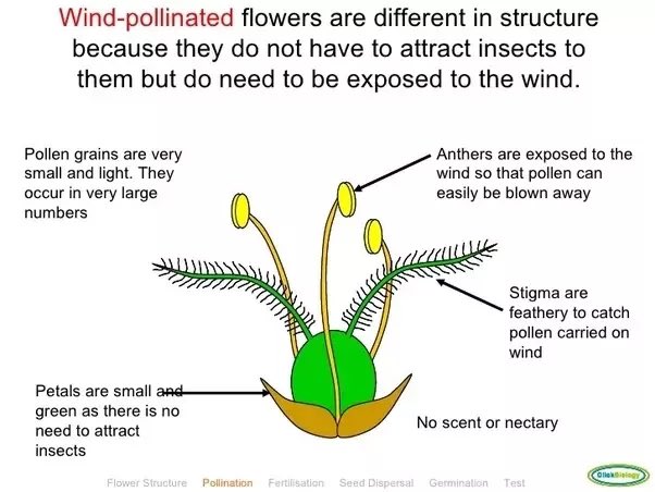 WXt0r's tweet photo. @lilyjayofficial Wind pollination was mentioned in the Quran before it was discovered.

There are also mountains of different colors that were discovered in the twentieth century.

.. https://t.co/qO9G0aa8Qm