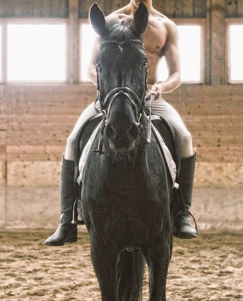 Sleipnxrider's tweet photo. #SeductiveSundayᅠᅠᅠ https://t.co/xWymw1kU3m