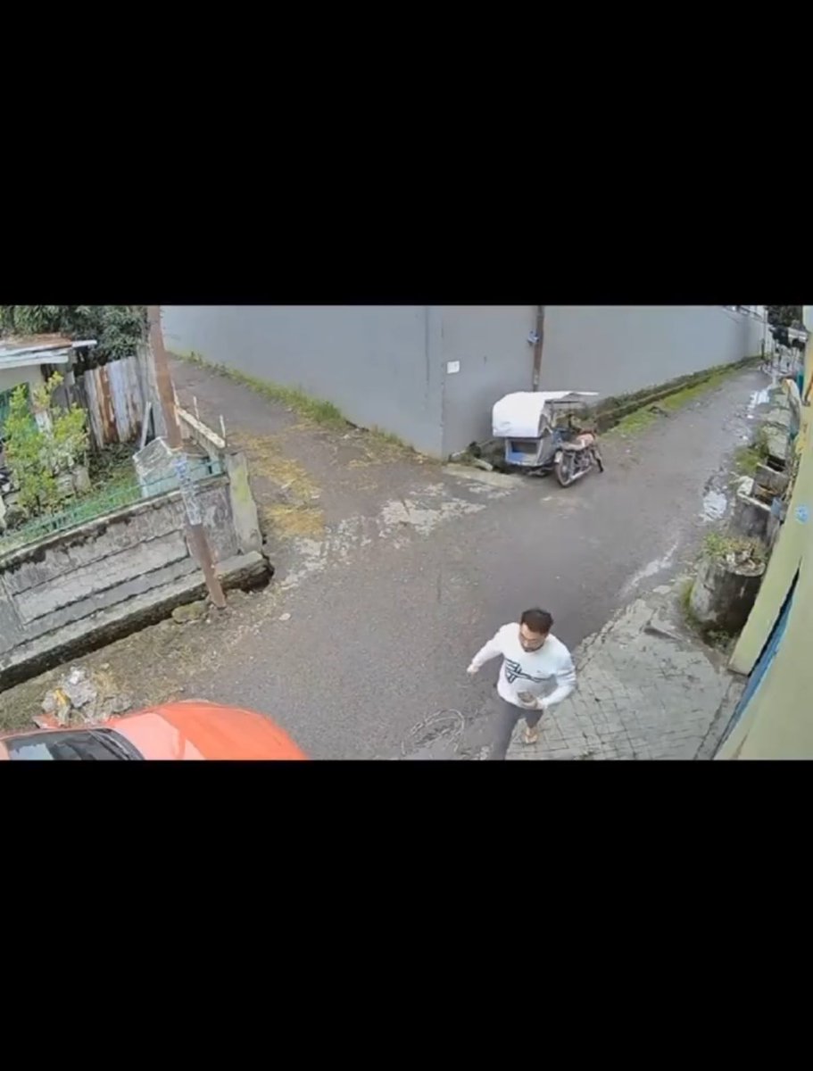 𓆝 𓆟 𓆞 𓆝 𓆟 tweet media