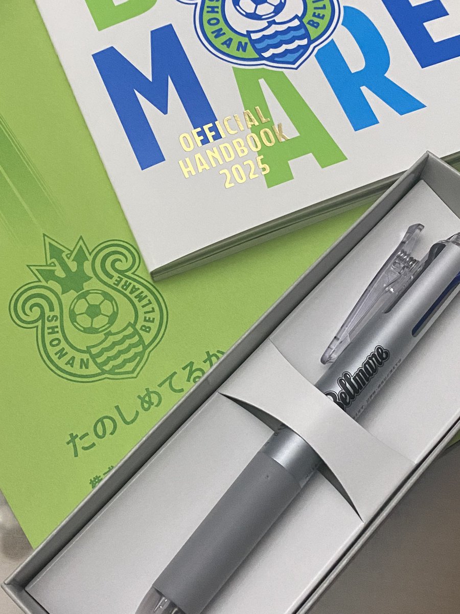 Bellmare project 2025! 👀✊🔥