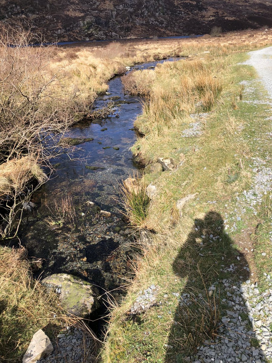 An ghaoth aniar bhíonn sé fial…
Agus bhí sé láidir ar an Slyggudal inniu!
The road through the Derrynasaggarts to Shrone Lake was a wind tunnel this morning but it gladly carried us back up the hill on the return! A lovely morning at a relaxed pace with relaxed people!