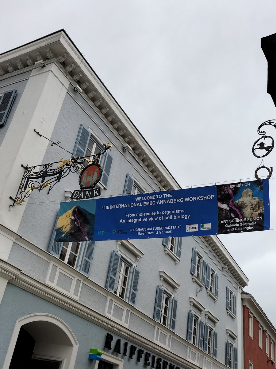 sofia_tiano's tweet photo. 📍 Great time at the #EMBO-Annaberg workshop in #membranetrafficking and #membranedynamics in Radstadt, Austria! 
🏔️ Exchanging struggles and ideas with great cell biologists during amazing sightseeing in the austrian mountains!
🌟 Can't wait to come back! #EMBOcellbio2025 https://t.co/ReAu1VELgX