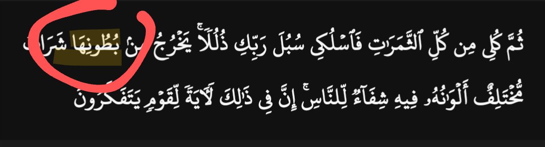 <a href="/lilyjayofficial/">Lily Jay</a> - 16:69
The verse explains Bees have multiple Stomachs, one to make Honey.  The Word used is  "بُطُونِهَا".  

The Anatomy of Bee was not understood until 1923 when a 🇺🇲 Missouri Entomologist Robert Snodgrass published his book.