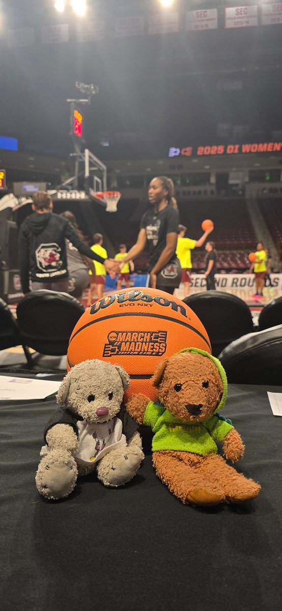 Round 2 against <a href="/IndianaWBB/">Indiana Women’s Basketball</a> 3pm on ABC woohoo!🙌 #basketballbears 🐻🏀🐻‍❄ #MarchMadness #NCAAWBB