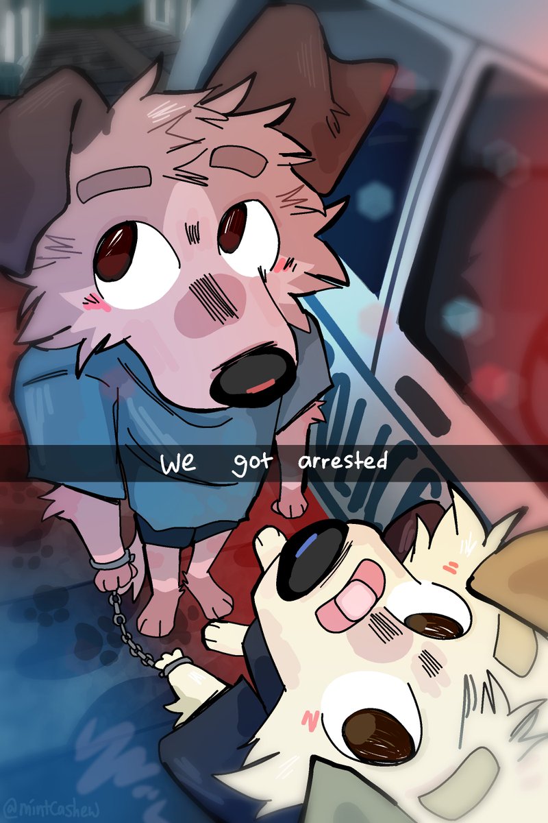 what did they do this time