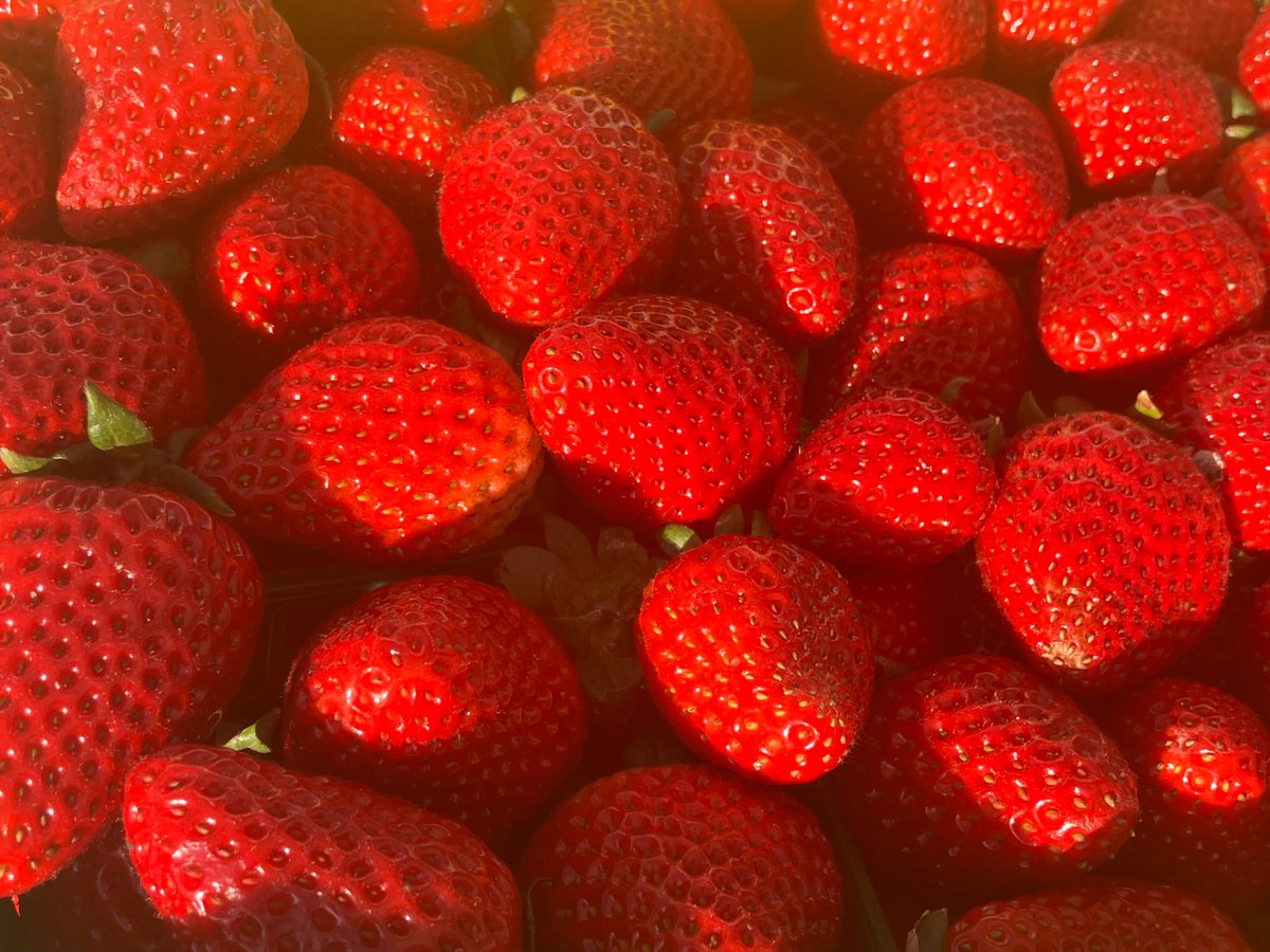 Office Hours this morning from 9-11am at the San Carlos Farmer’s Market. We are set up at the corner of Laurel St. and Cherry St.. Come on by and say hello! We’re honored to be joined by special guest Mayor Sara McDowell for much of the morning.