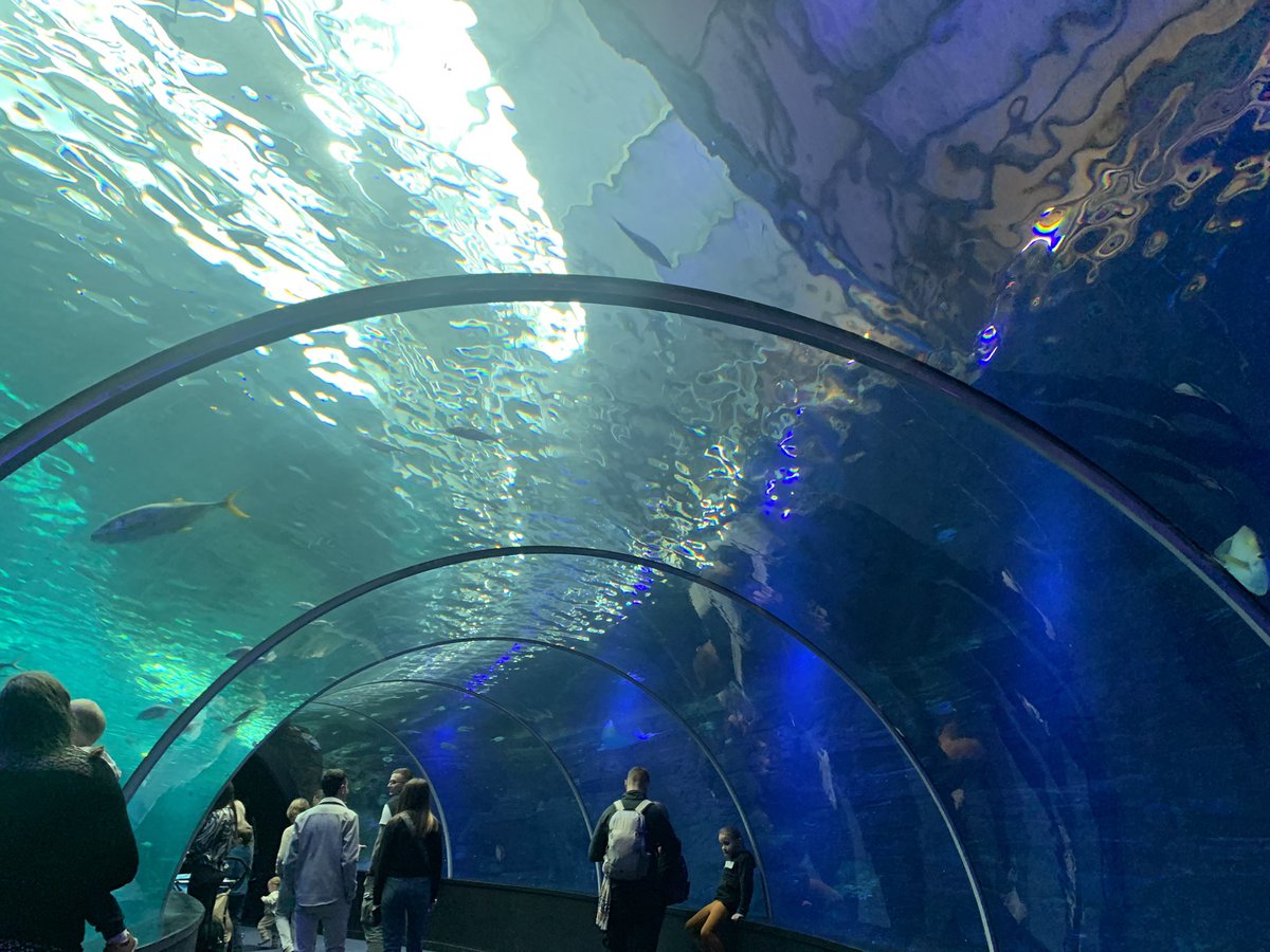 BLSPicardy's tweet photo. NOT the Channel Tunnel! https://t.co/zG172AB75h