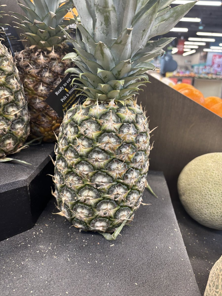 <a href="/SpongeBob/">SpongeBob</a> Found Yo Crib JIT