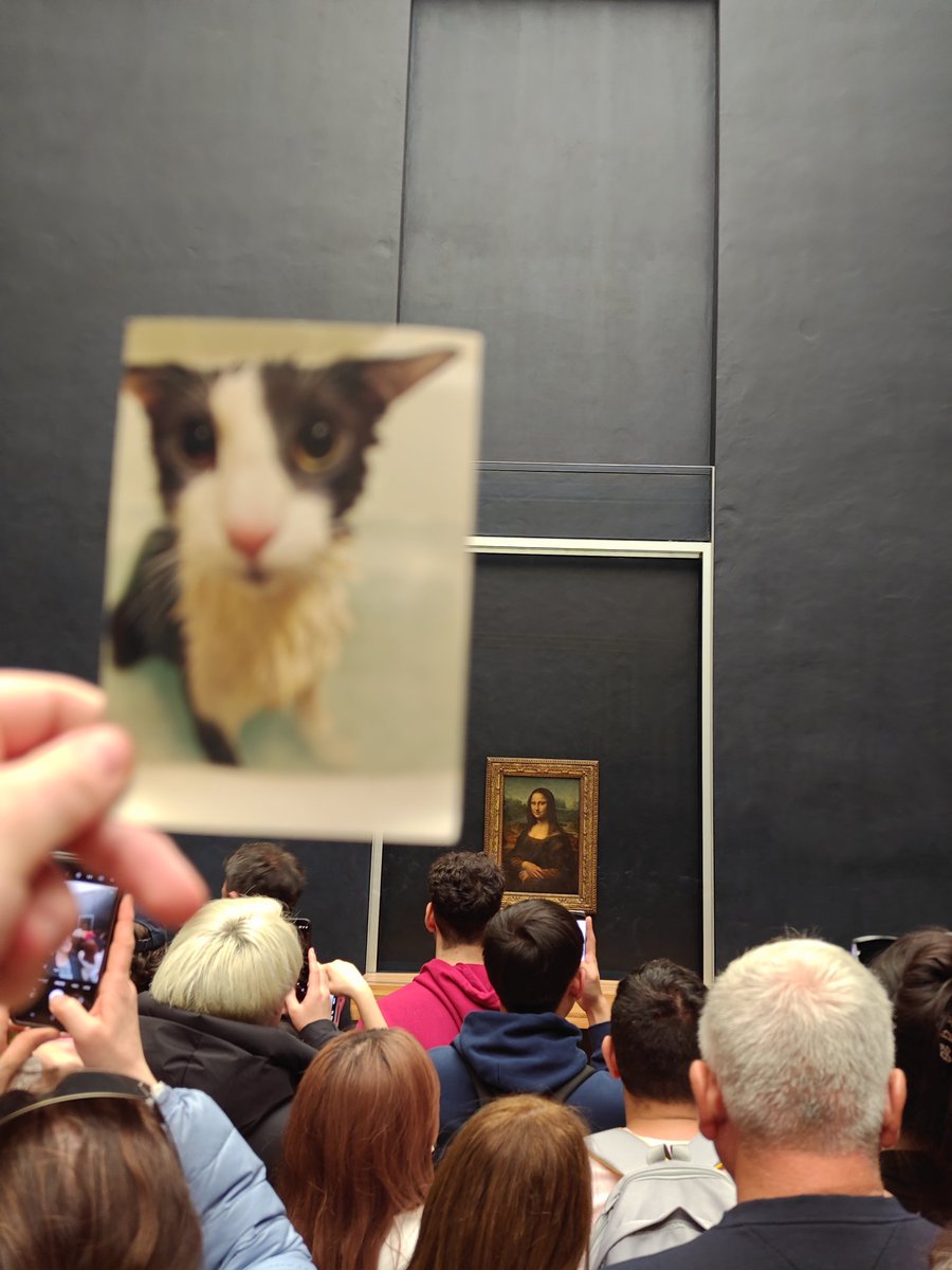 Soggy Cat Propaganda tweet media