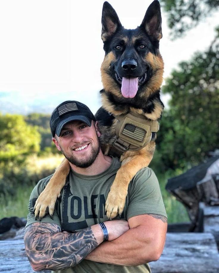 GSD_Den's tweet image. Courage runs in the bloodline 🇺🇸🐕
Our K9 German Shepherd is already training to be a fearless protector.
Honor. Duty. Loyalty. 

#usadoglovers #newyorkdogs #floridadogs #viralpet #germanshepherdpuppy #gsdstore #shepherdswag #gsdlifestyle