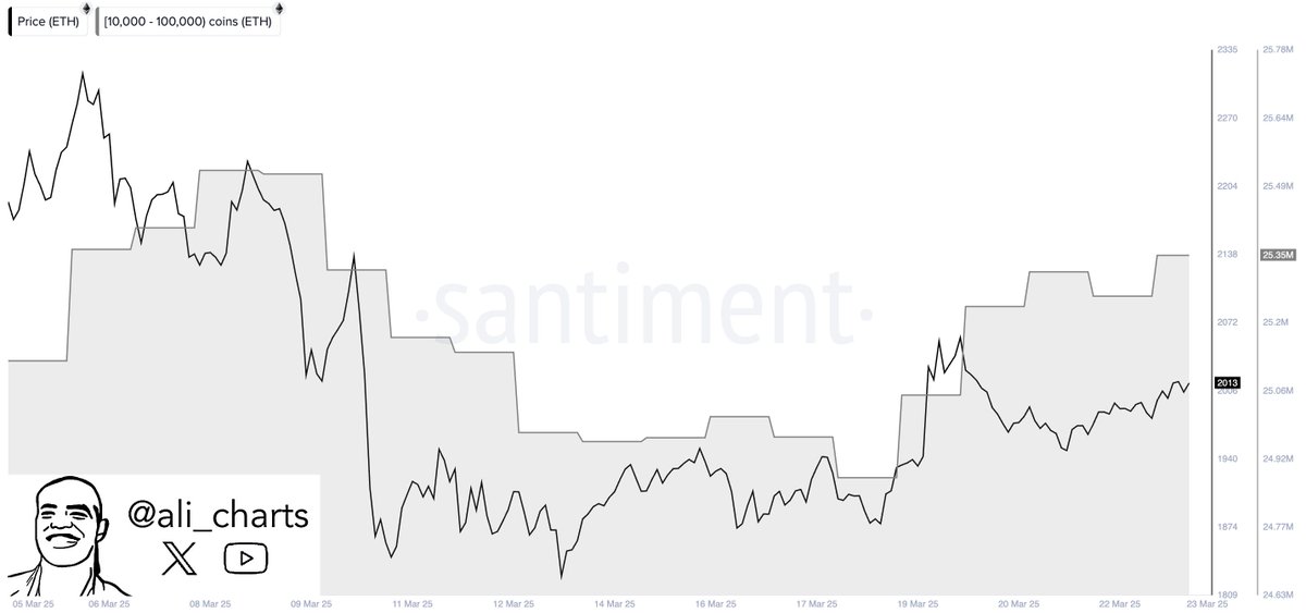 Ethereum whale activity