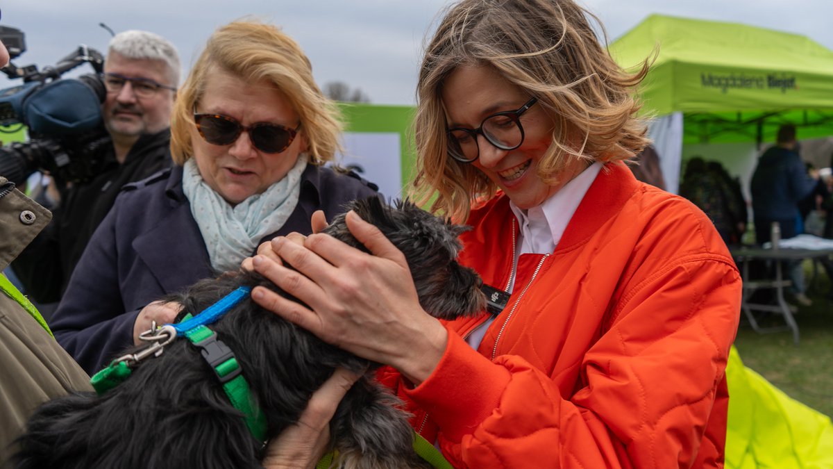Kochani, dziękuję Wam za świetną zabawę na inauguracji Miasteczka Biejat 💚 Wydarzenie wzbudziło takie zainteresowanie, że wpadł mój konkurent <a href="/K_Stanowski/">Krzysztof Stanowski</a>!

Krzysztof, miło było pogadać o poważnych dla Polski sprawach, ale żarty też nam się kleiły 😅 Powodzenia w zbiórce
