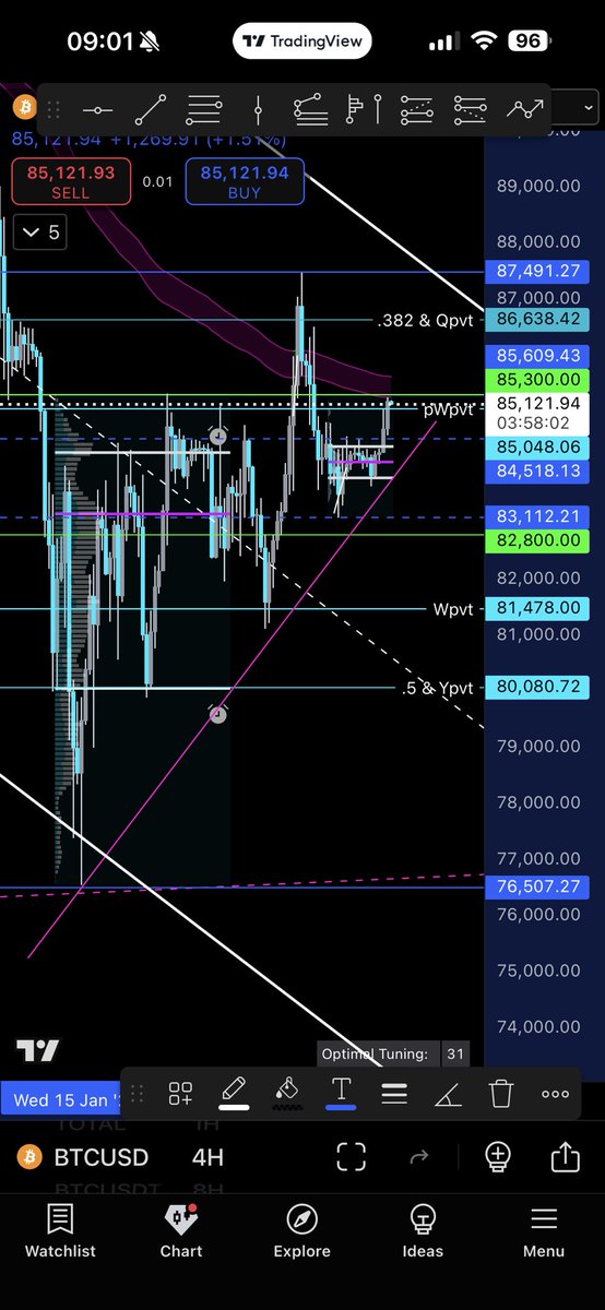 TradeFly tweet media