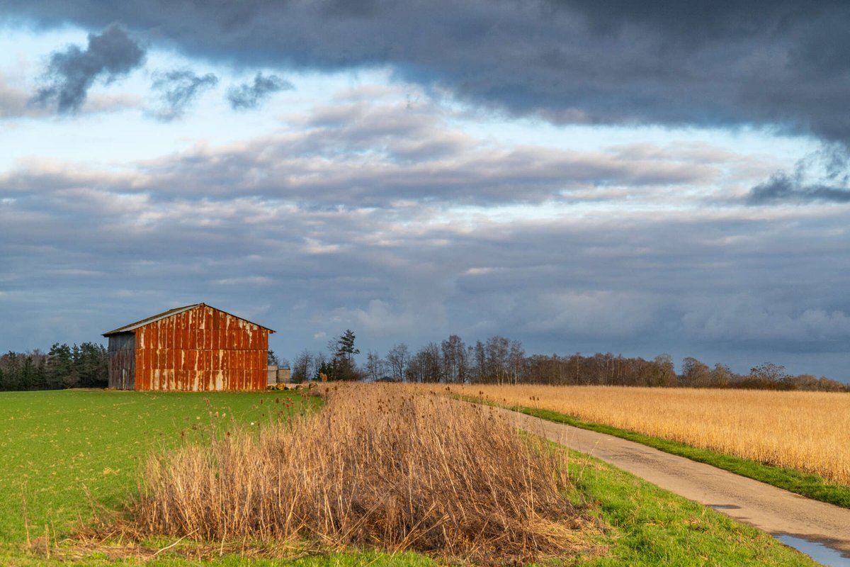 erikproper tweet media