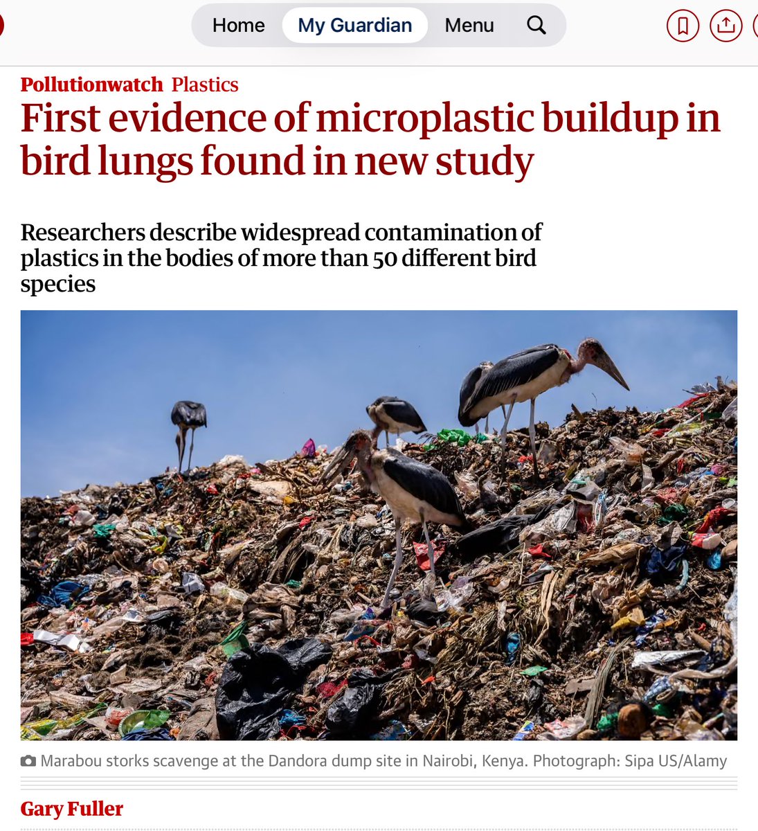 “The result that surprised me most was the widespread microplastic contamination in all species that we sampled, regardless of body size, habitat preference &amp; feeding habits.”
#Microplastics were found in all species studied, with ave 416 particles/gram of lung tissue.
#Pollution