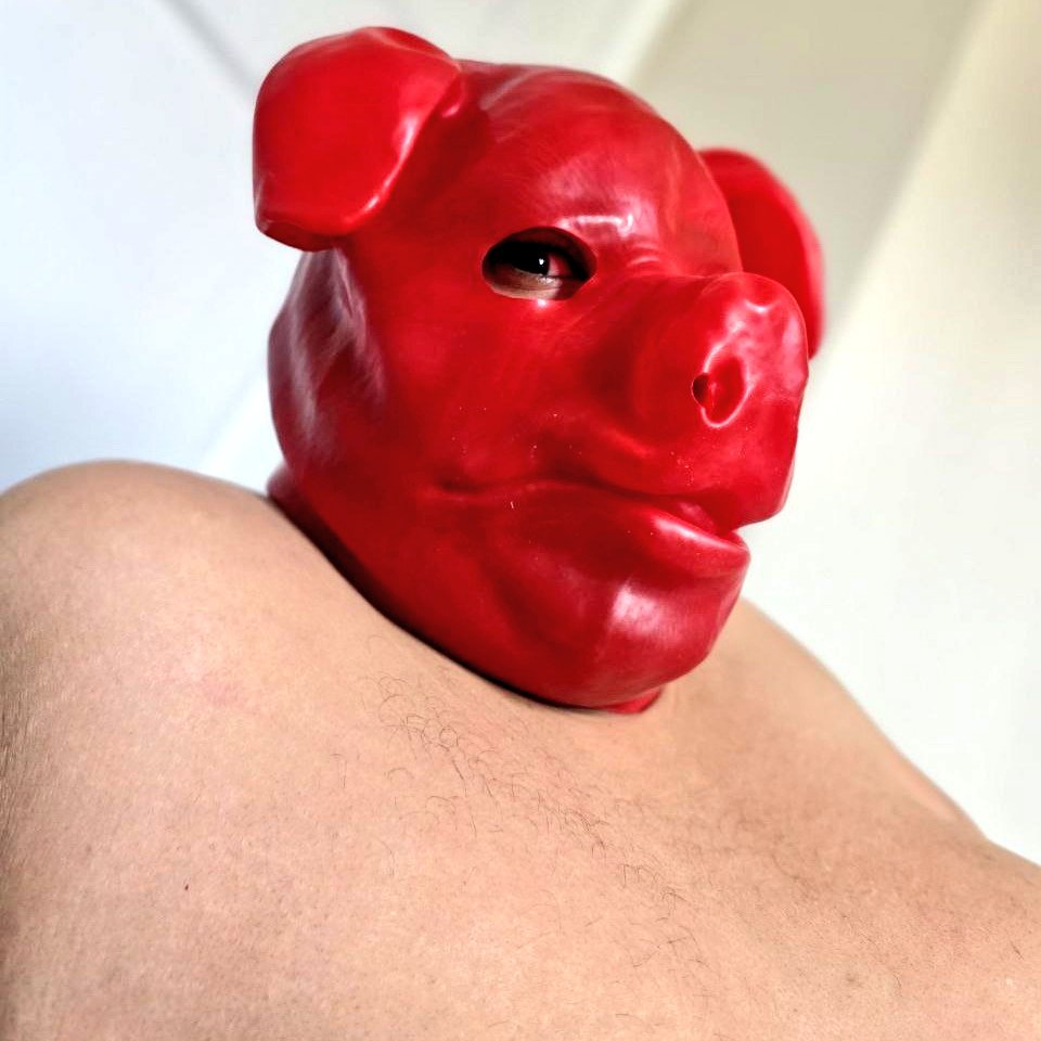 New red mask snort snort.
🐷♥️🐷♥️🐷♥️🐷