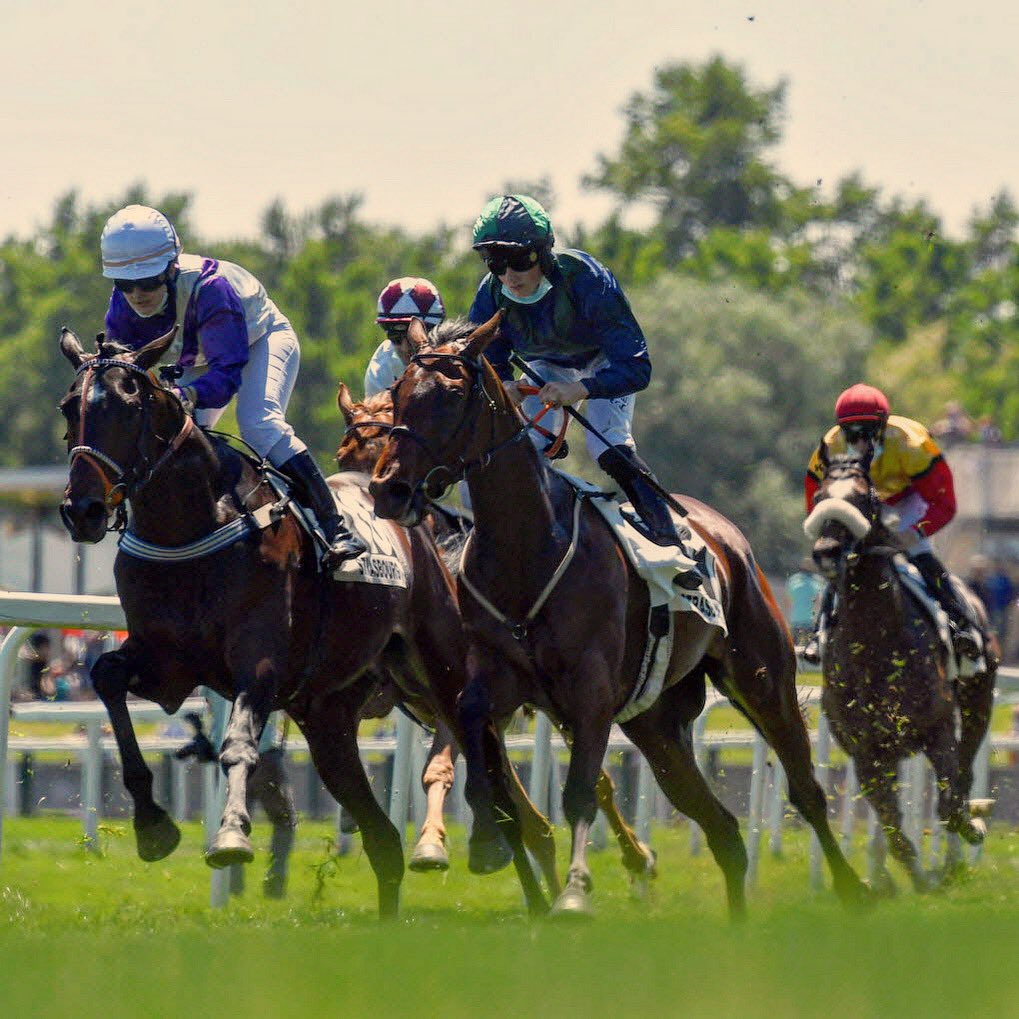 EricJC_Vial's tweet image. Le grand prix 🏆 Éric Vial aura lieu cette année le 19 avril, sur l’hippodrome de #Strasbourg. Le monde entier pourra jouer cette course. 
Un sprint spectaculaire, réservé aux chevaux 🐎 de course de 4 ans et plus. Une allocation de 16.000 € est prévue pour les écuries gagnantes