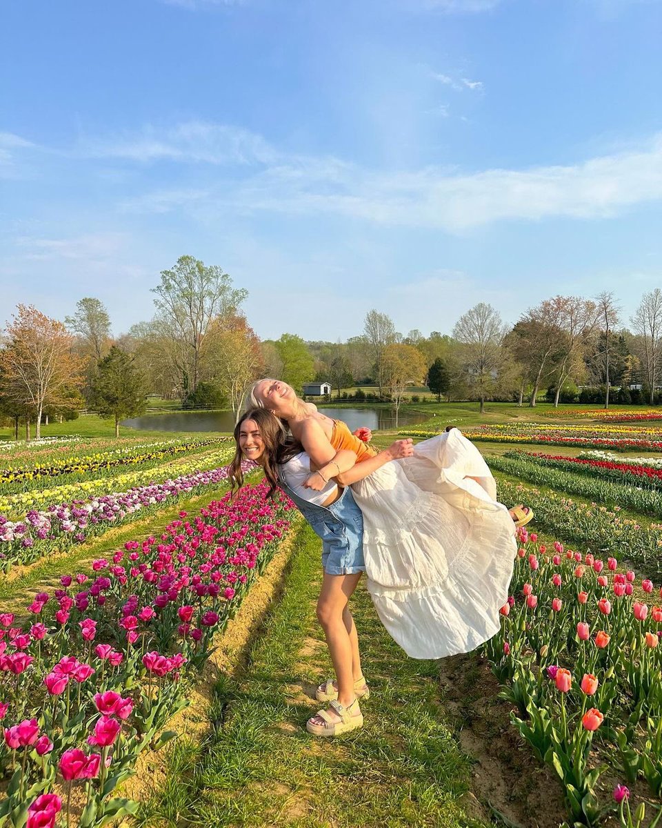 Diorgirlx's tweet image. spring vibes