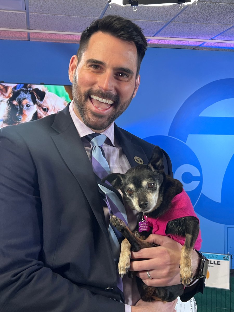 Muttville's tweet image. Today marks #NationalPuppyDay, though @ABC7BayArea got a head start by celebrating Friday morn with our #seniordogs in attendance! Meteorologist @DrewTumaABC7 had some special moments with Sachet! 💖 Later that day, an adopter from San Jose said "yes!"
buff.ly/Gkmn2Tk
