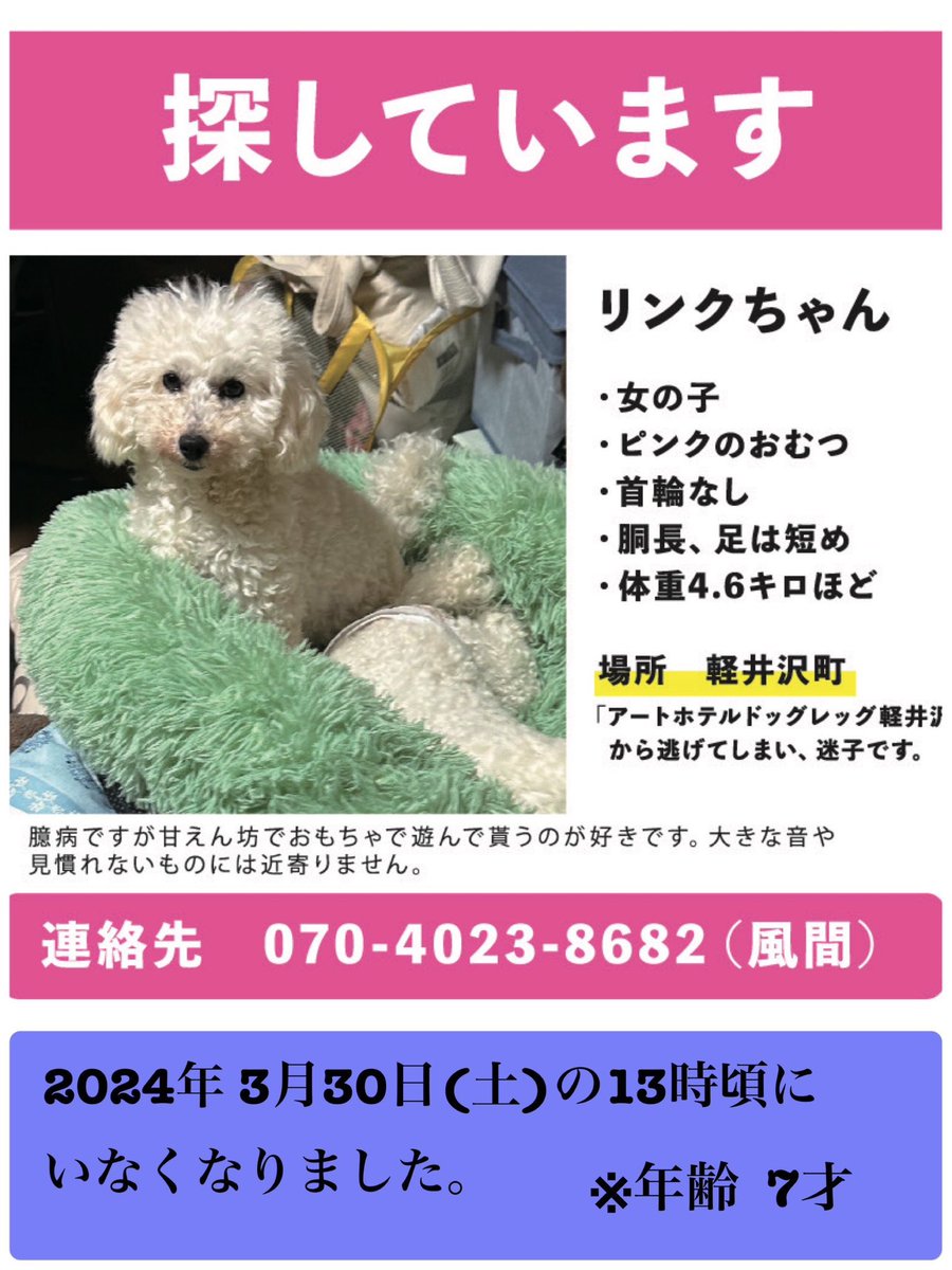 もうすぐリンクがいなくなつて1年経ちます。
私が最後に会ったのは、25日でした。
その5日後にいなくなってしまい、まさかあのまま会えなくなるとは思いもせず別れたままです。
すごく後悔しています。

#迷子犬  #拡散希望  #拡散希望RPご協力お願い致します  #長野県  #軽井沢  #トイプードル