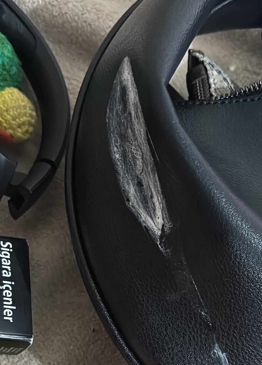 oy kullanmaya giderken cantama kus sicti bu bi isaret✨✨✨