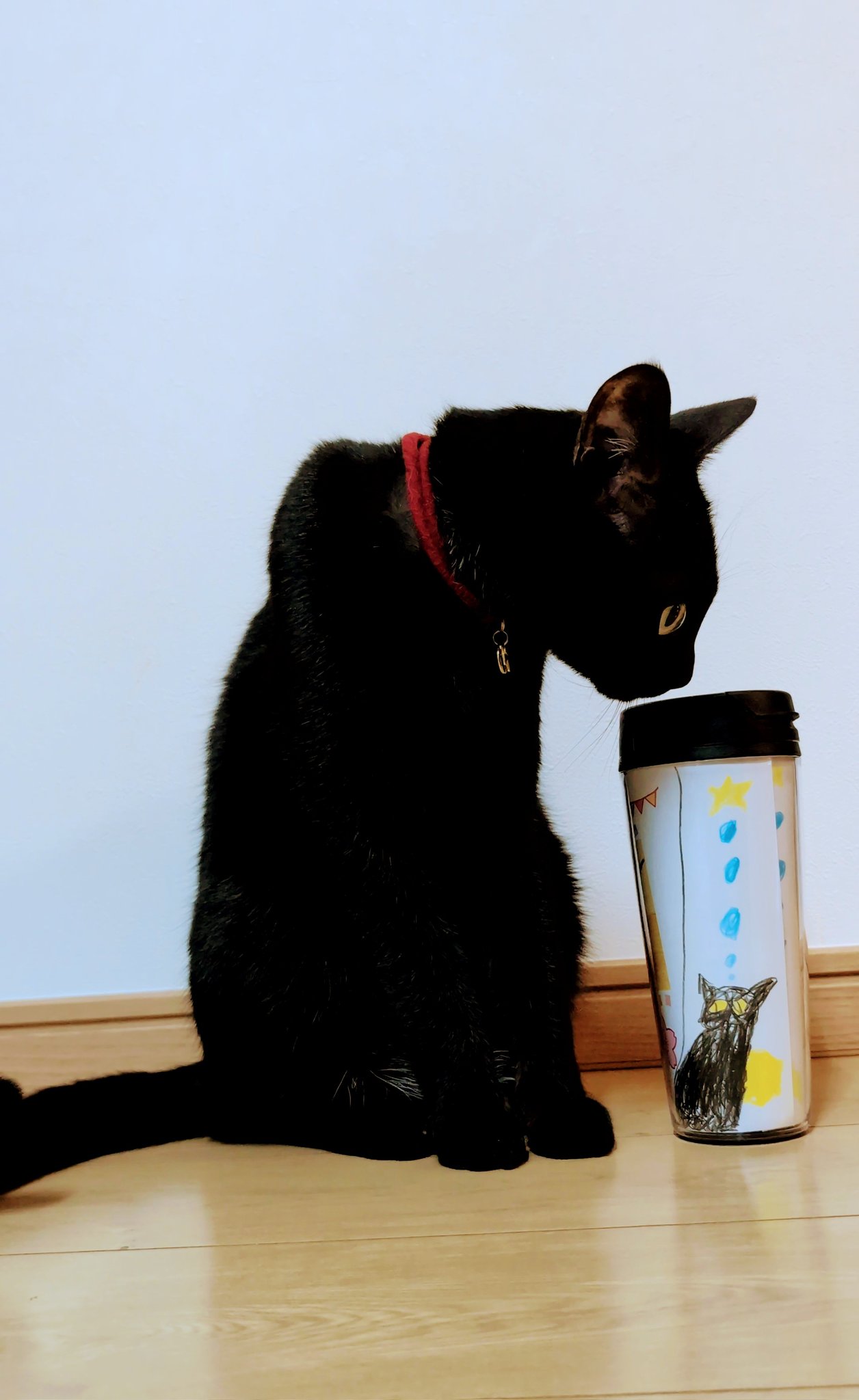 仔猫を拾ったので on X: 仔猫を拾ったので on X: