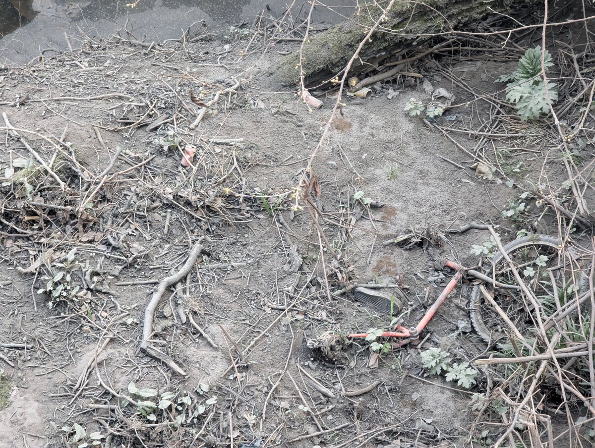 Reiveratlarge's tweet photo. @is_glasgow Here's some of the aftermath of @Safedem 'expertise'. This used to be a wildlife corridor with peregrine falcons, deer, foxes, rare moths, there were even salmon and trout in the river. It wasn't pristine before, but it's totally f#cked now. https://t.co/9BcjZ3WZvy