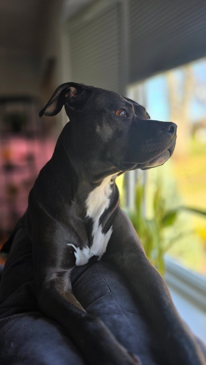 𝔊𝔯𝔞𝔳𝔞𝔫𝔬 tweet media