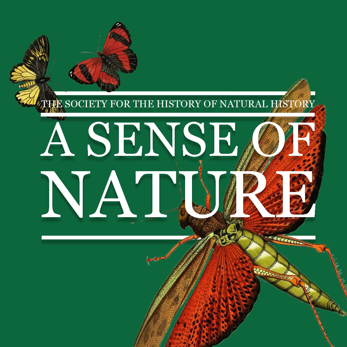 ✨Conference bursary✨

Are you a current doctoral researcher or post-doctoral researcher within 2 years of completion wanting to attend our Summer Meeting? We can help!

We offer bursaries for those who need it, check out the criteria &amp; how to apply 👇
shnh.org.uk/a-sense-of-nat…