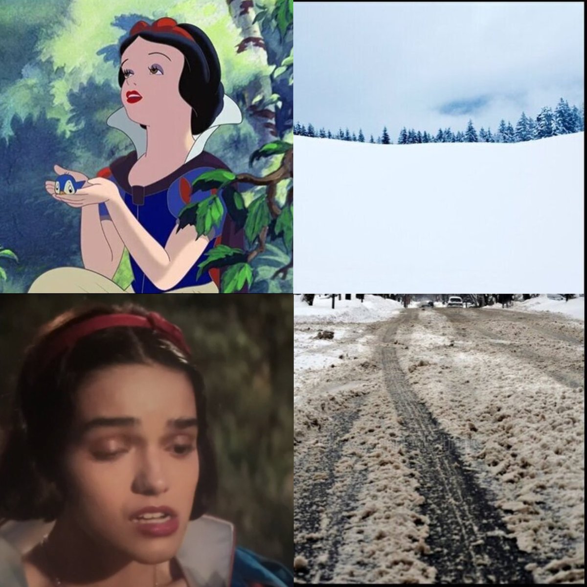 OOCprogresismo2's tweet image. 