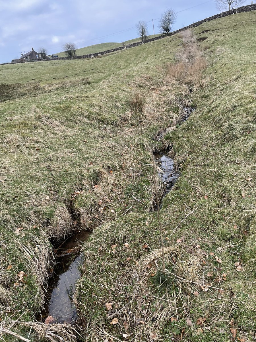 Nurtured from Nature tweet media