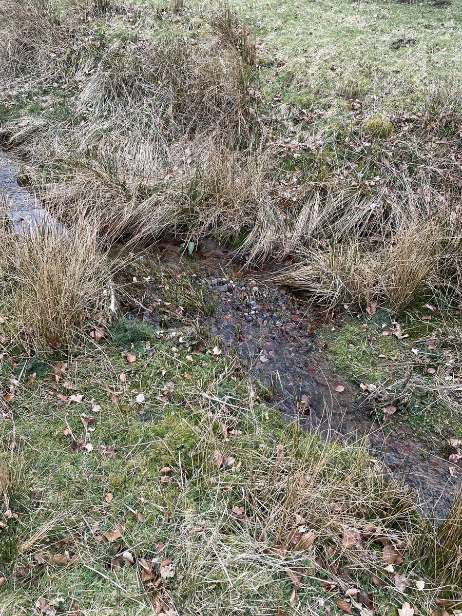 Nurtured from Nature tweet media