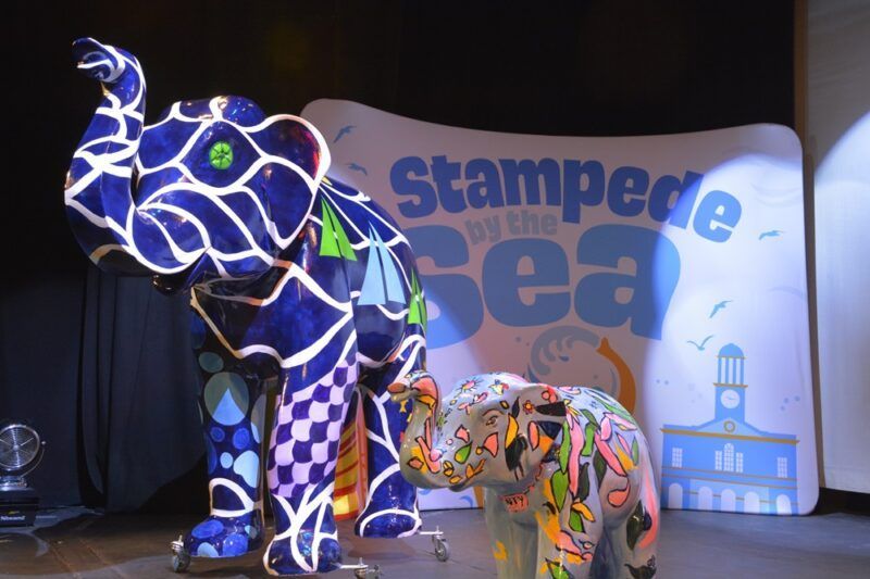 Stampede By the Sea will raise money for Weldmar Hospicecare. They provide specialist end of life care to people in Dorset.

So check out the Trail here and see if you can help. stampedebythesea.org 
<a href="/wildinart/">Wild in Art</a> 
#StampedeByTheSea #WildInArt #Bridport #WestBay #LymeRegis