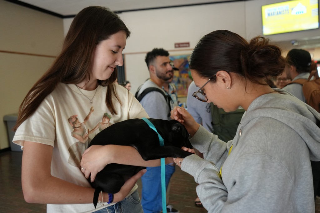 StMarysU's tweet photo. Normalize puppies on campus. #NationalPuppyDay #StMU https://t.co/OYzIqFihAg
