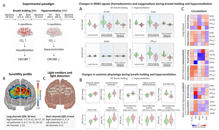 FScholkmann's tweet image. According to our new study, there exists a extracerebrovascular reactivity induced by changes in breathing -> sciencedirect.com/science/articlโฆ
Both hypocapnia & hypercapnia exert a significant impact on not only CBF but also on extracerebral tissue hemodynamics.
Relevant for #fNIRS