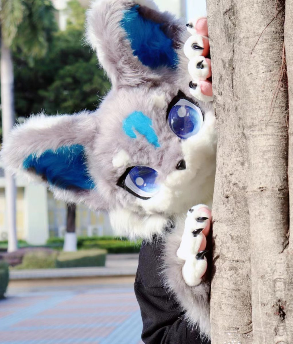 黯枫 (@xzb710000) on Twitter photo 