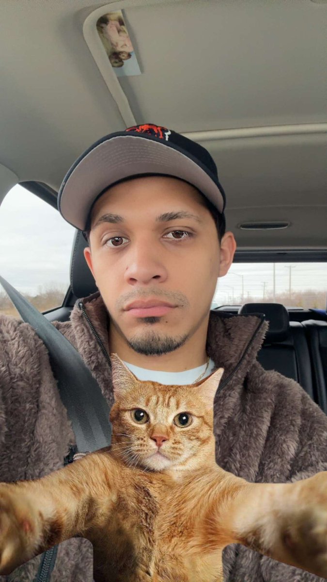 Kris__Castaneda's tweet photo. This cat filter will never not be funny https://t.co/aRmgg15Zc3